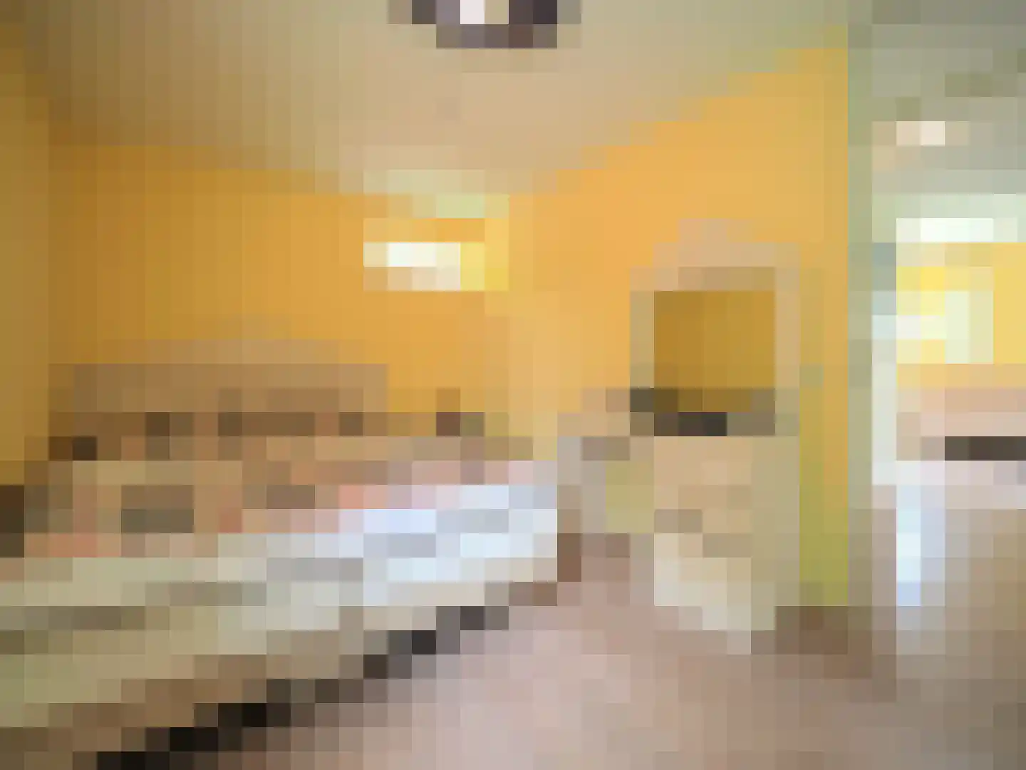 Dorstense aak 30 Papendrecht thumbnail 22