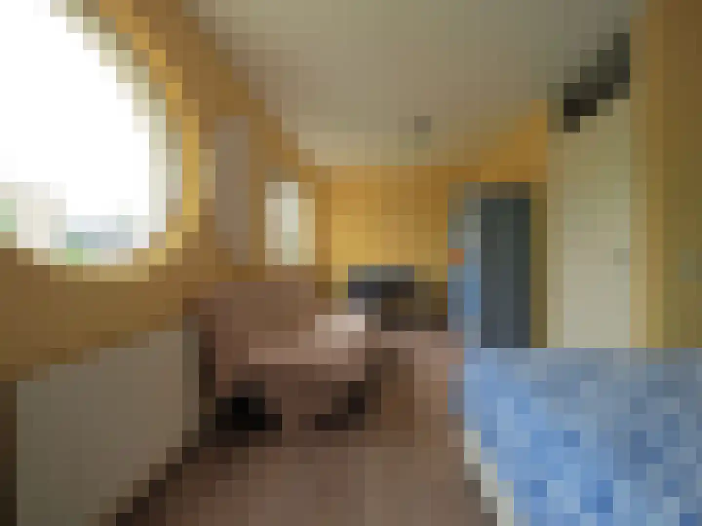 Dorstense aak 30 Papendrecht thumbnail 27