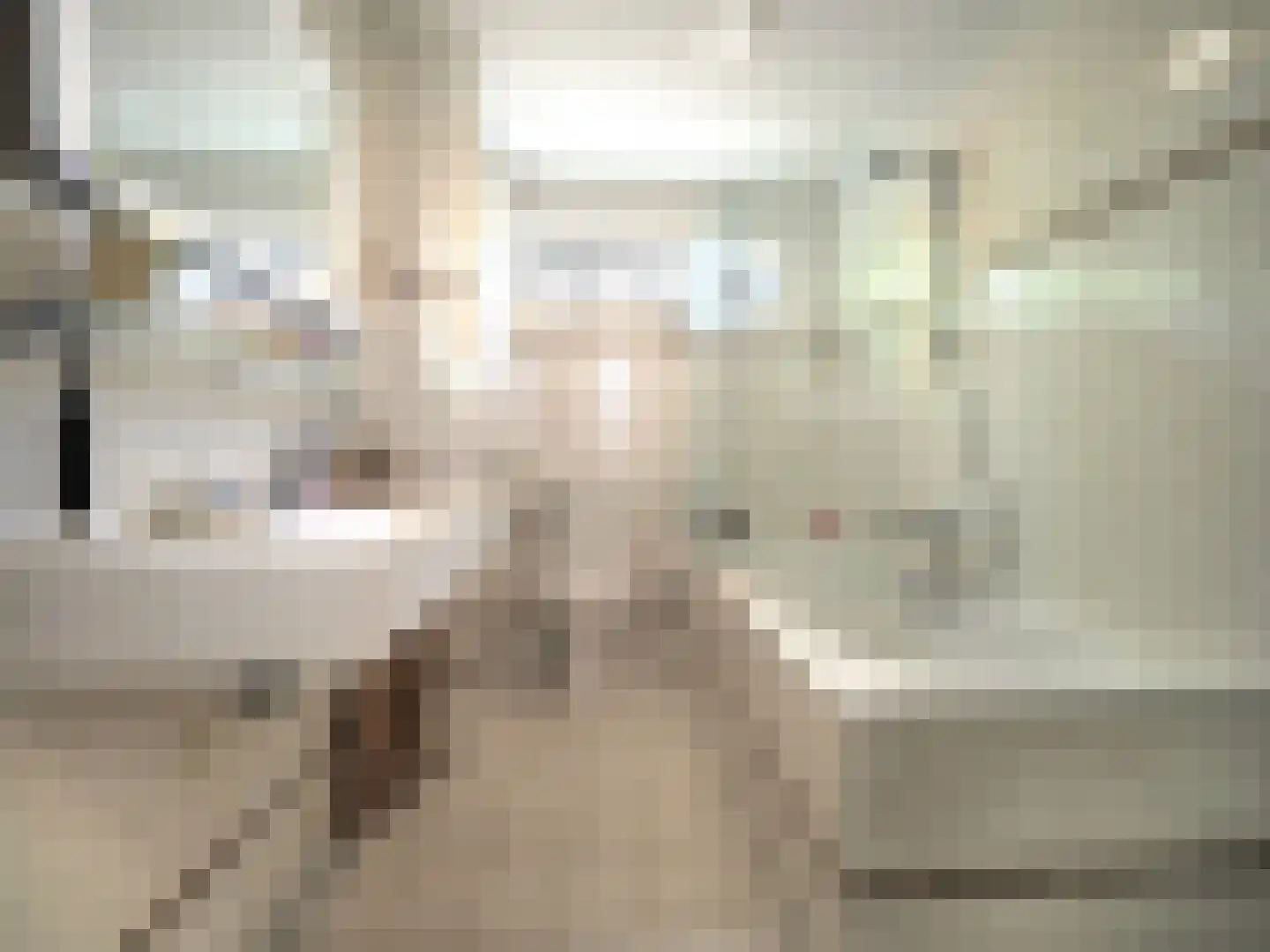 Dorstense aak 30 Papendrecht thumbnail 29