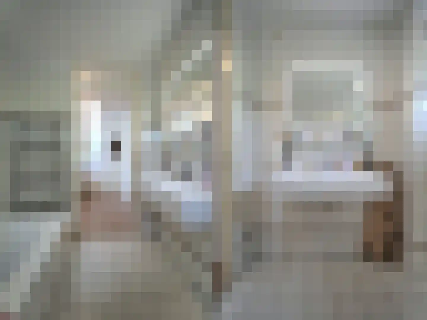 Dorstense aak 30 Papendrecht thumbnail 30