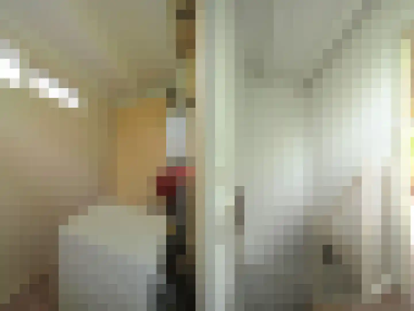 Dorstense aak 30 Papendrecht thumbnail 32
