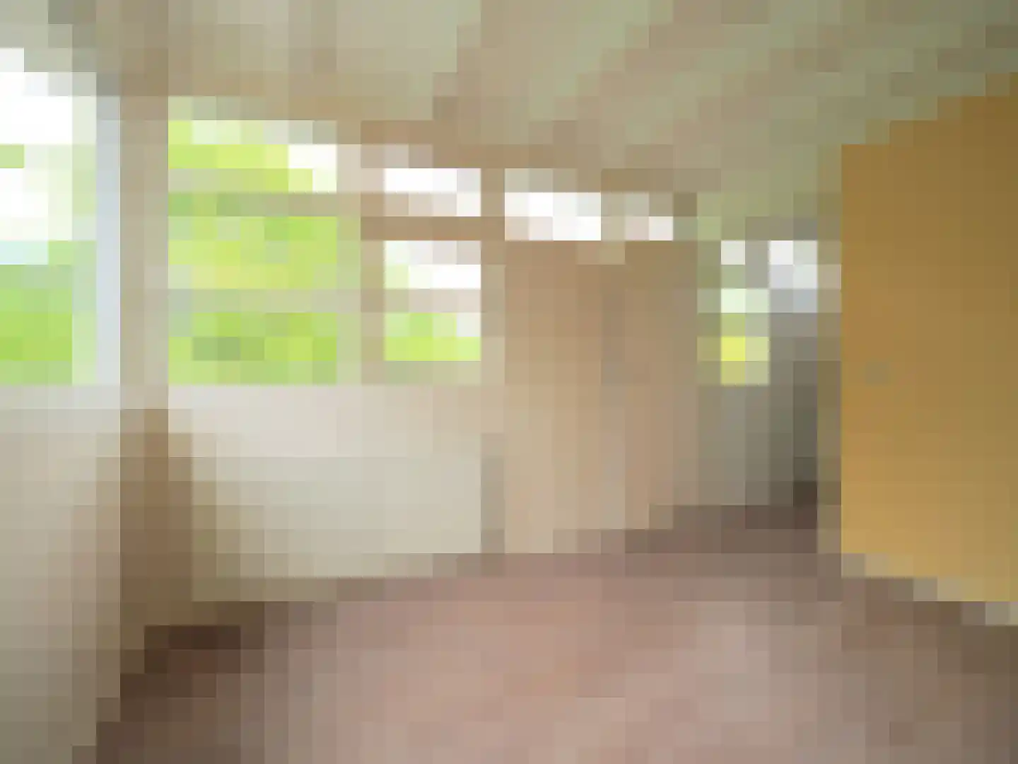 Dorstense aak 30 Papendrecht thumbnail 33