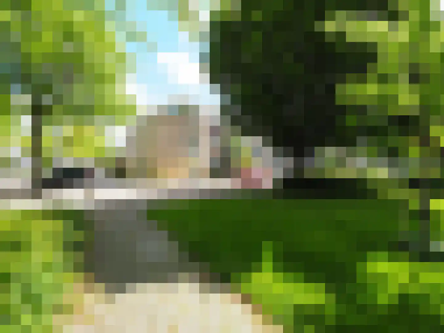 Dorstense aak 30 Papendrecht thumbnail 42