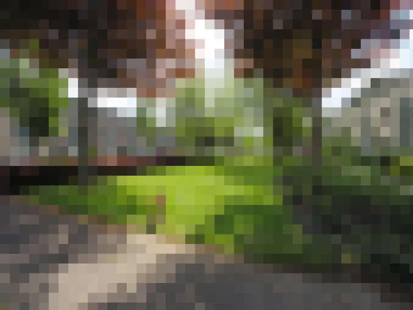 Dorstense aak 30 Papendrecht thumbnail 43