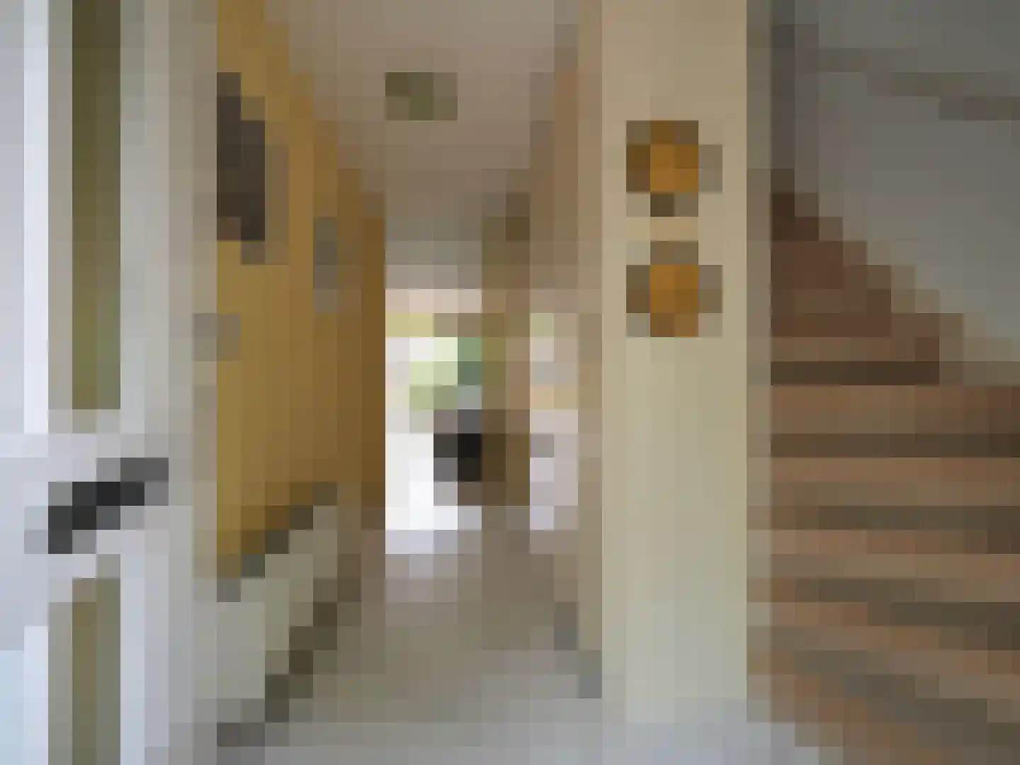 Dorstense aak 30 Papendrecht thumbnail 7