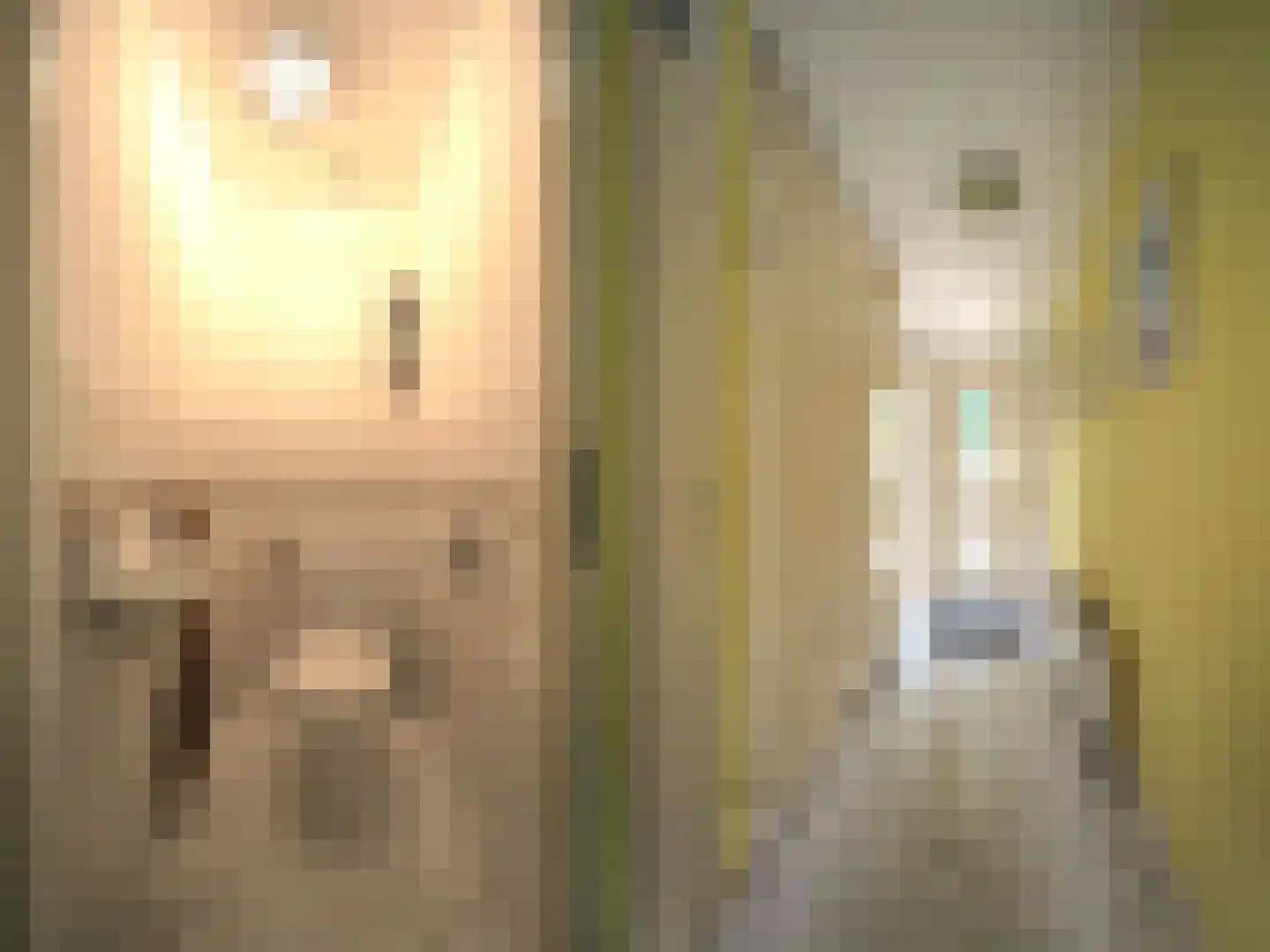 Dorstense aak 30 Papendrecht thumbnail 8