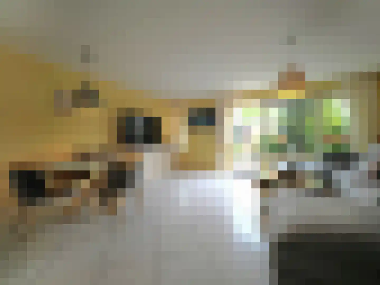 Dorstense aak 30 Papendrecht thumbnail 9