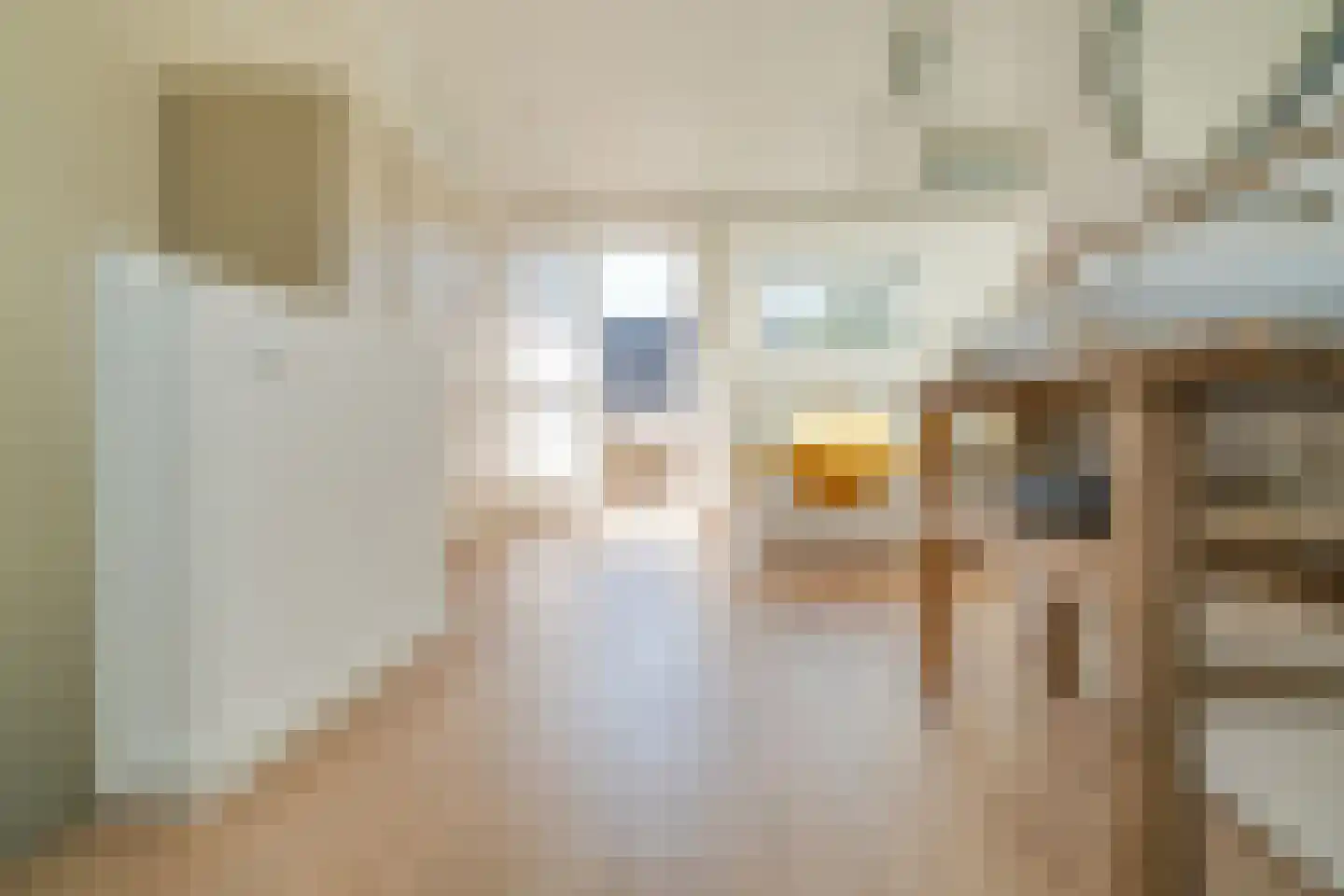 Dorstige Hartsteeg 20 Utrecht thumbnail 25