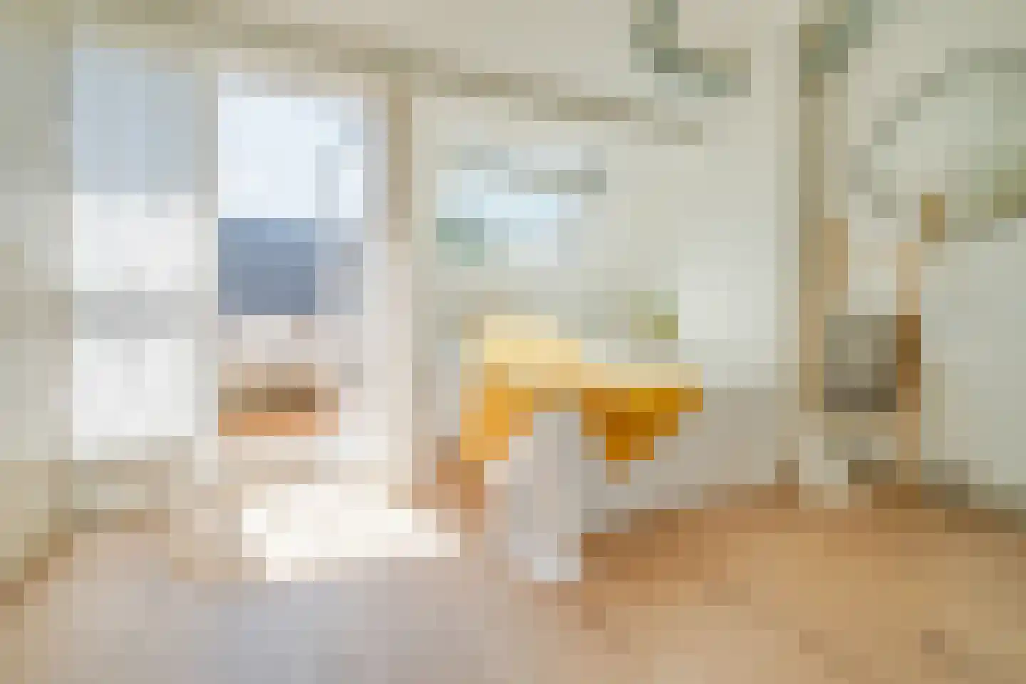 Dorstige Hartsteeg 20 Utrecht thumbnail 28