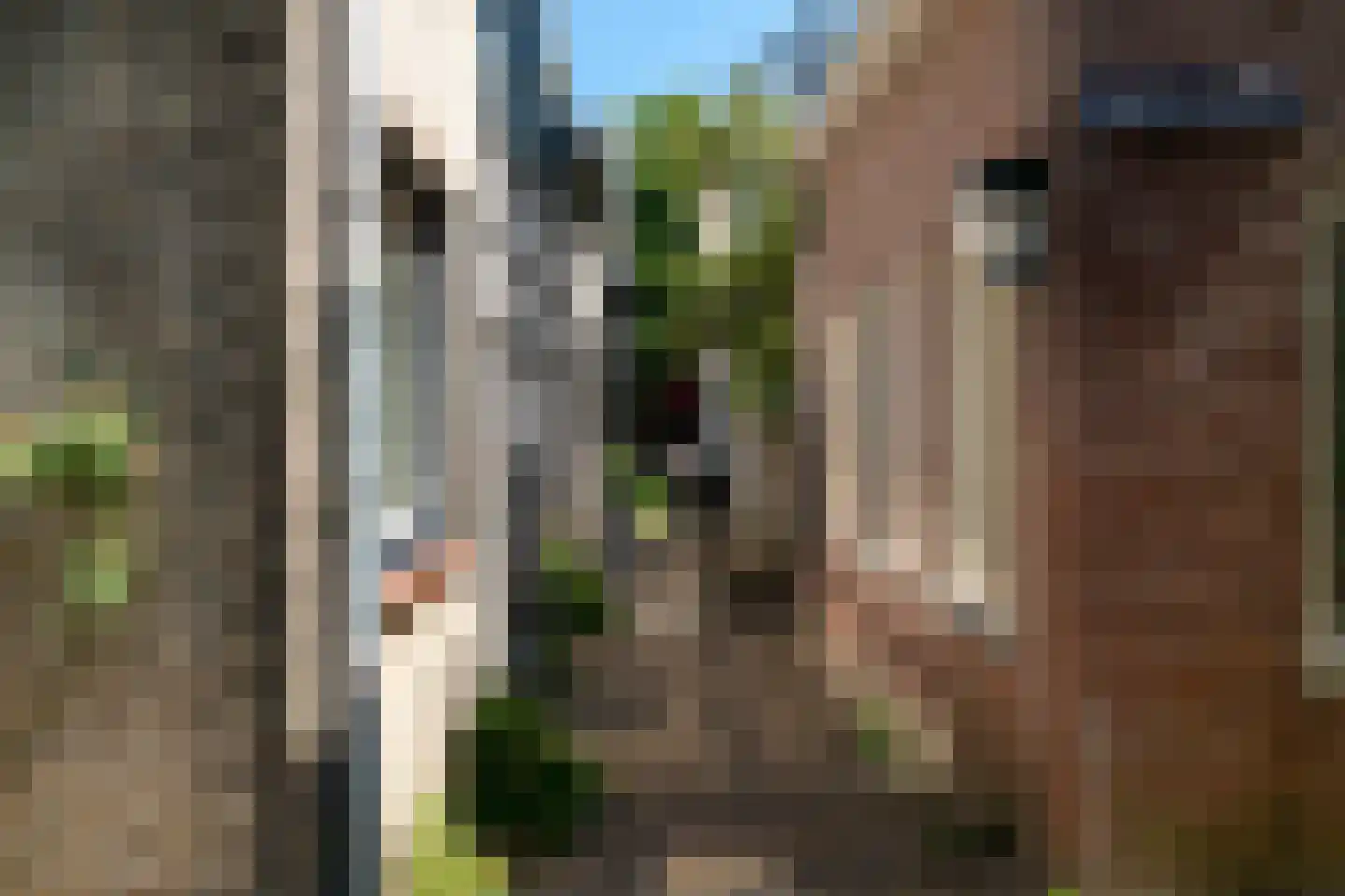 Dorstige Hartsteeg 20 Utrecht thumbnail 43
