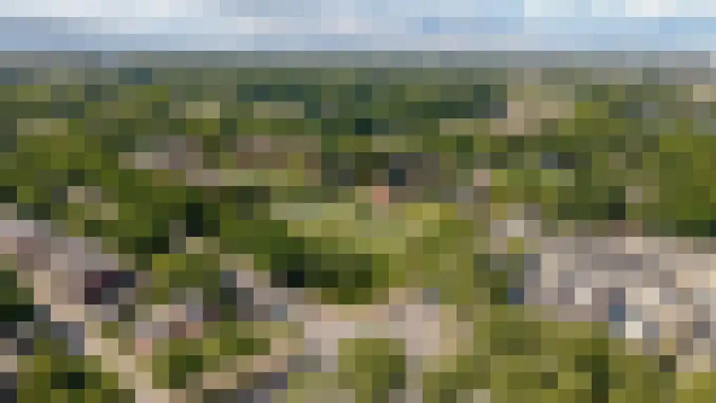 Dorstseweg 23 Bavel thumbnail 6