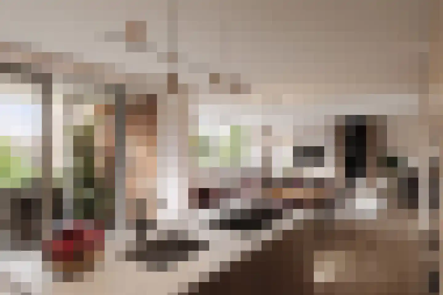 Dorstseweg 25 Bavel thumbnail 4