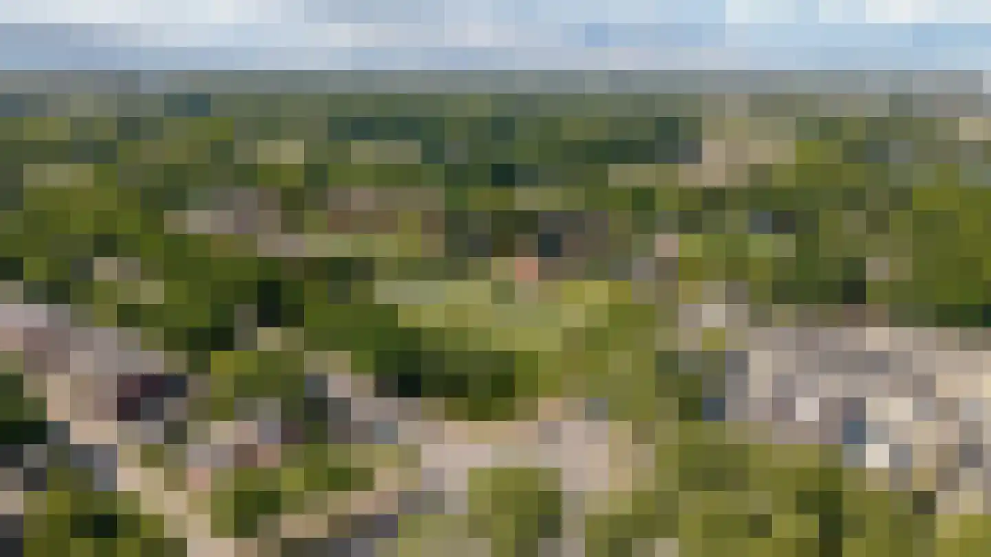 Dorstseweg 25 Bavel thumbnail 7