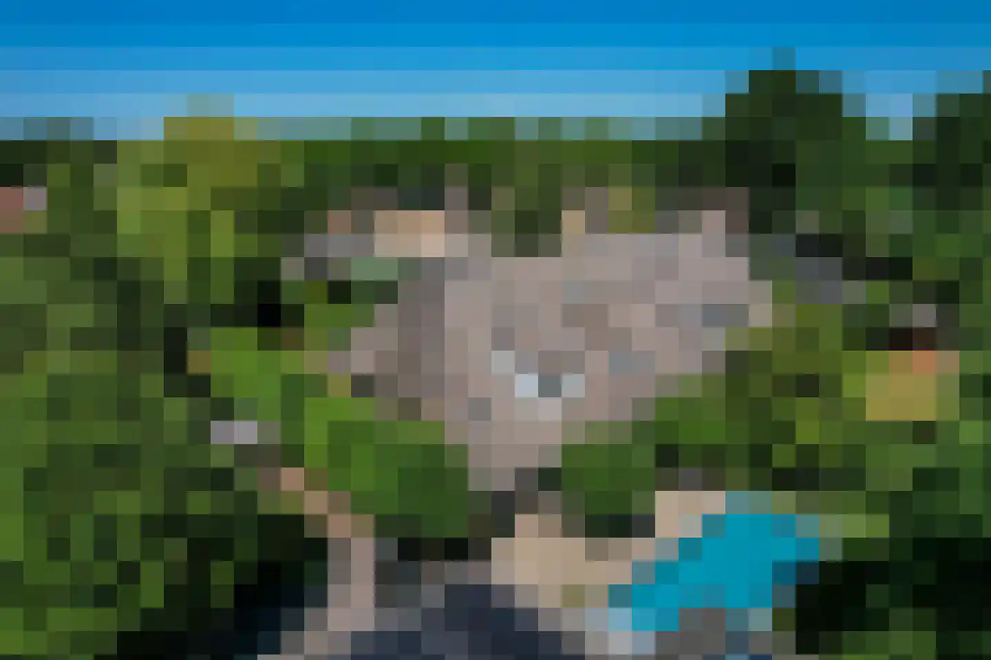 Dorstseweg 4 A Bavel thumbnail 11