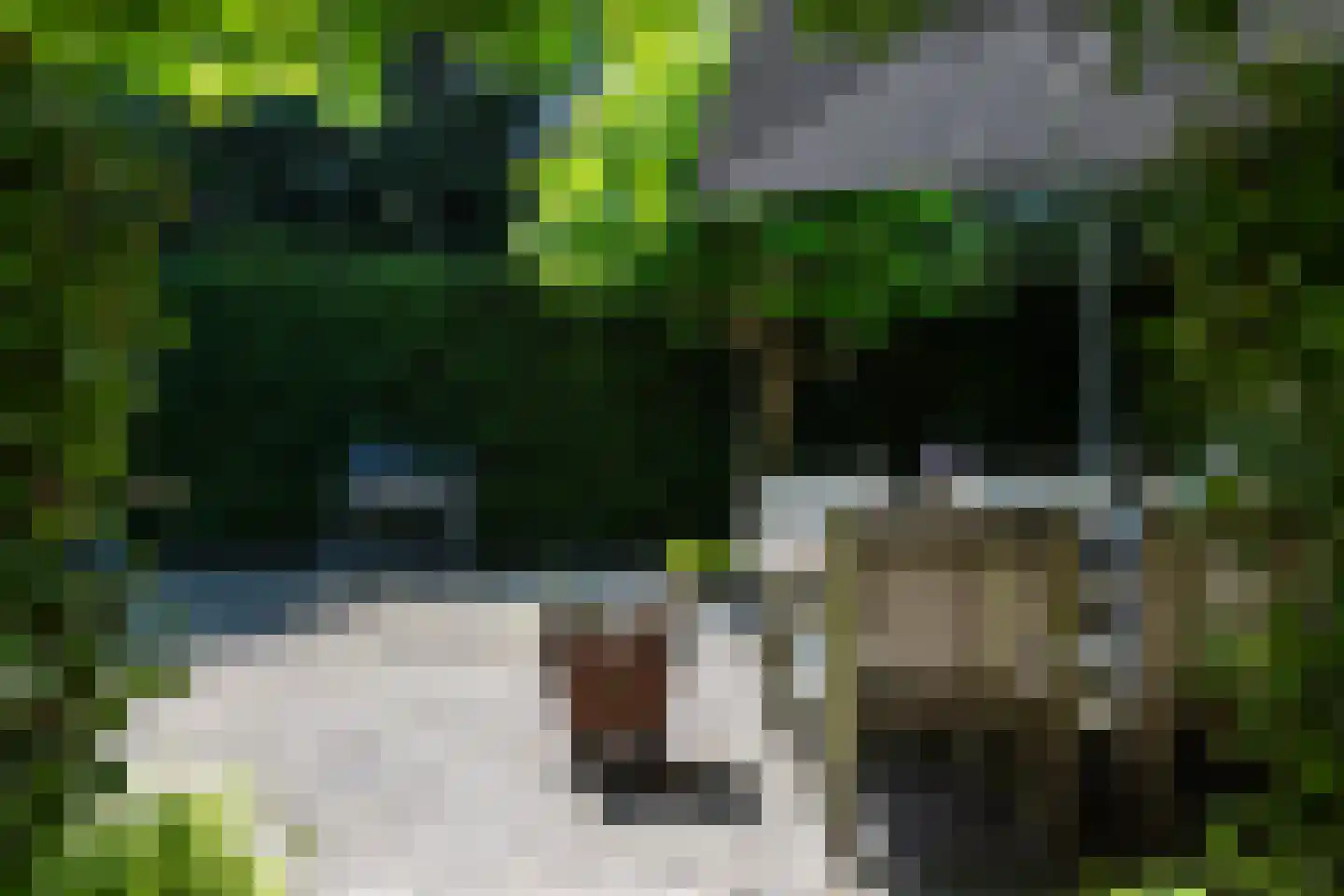 Dorstseweg 4 A Bavel thumbnail 110