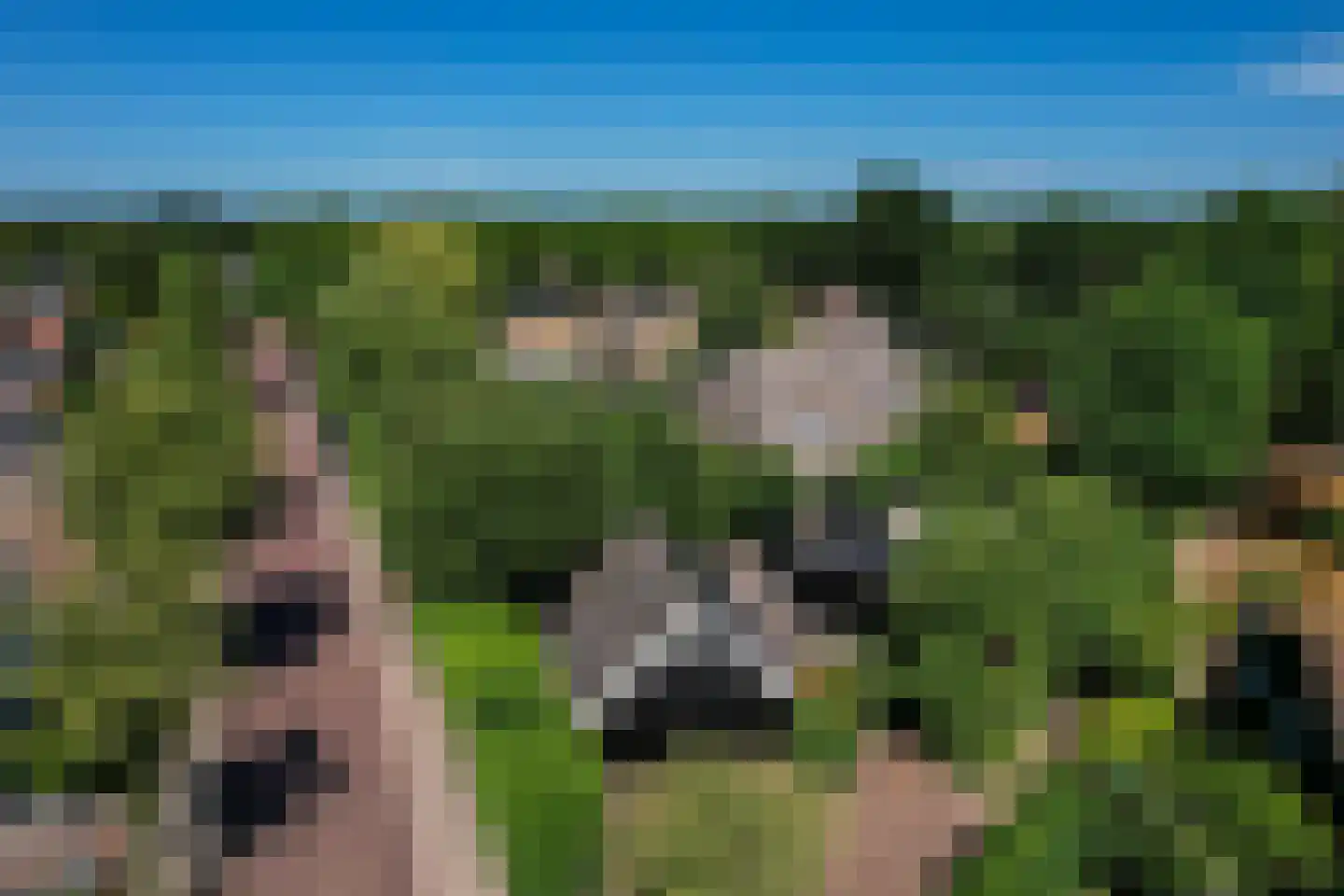 Dorstseweg 4 A Bavel thumbnail 111