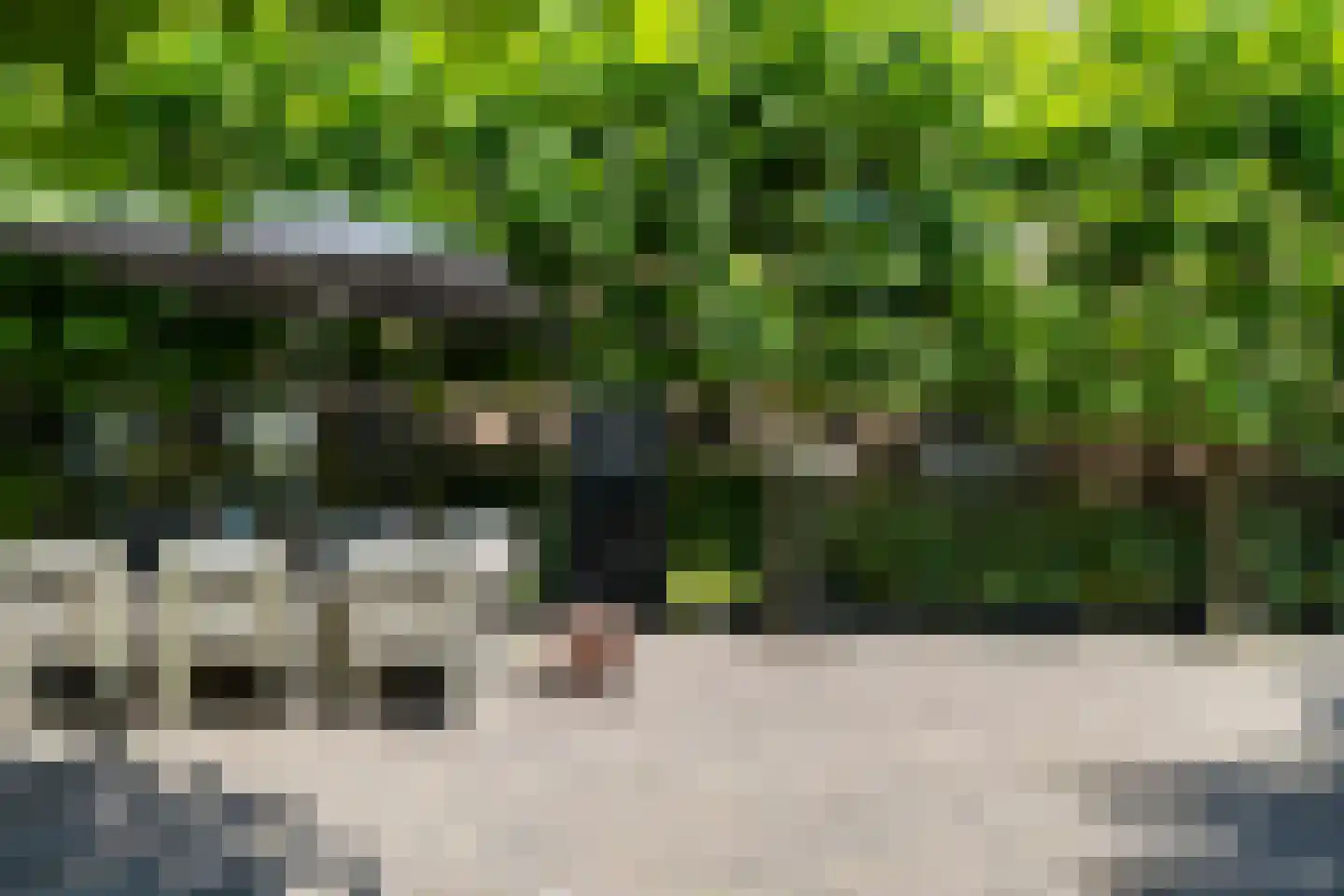 Dorstseweg 4 A Bavel thumbnail 12