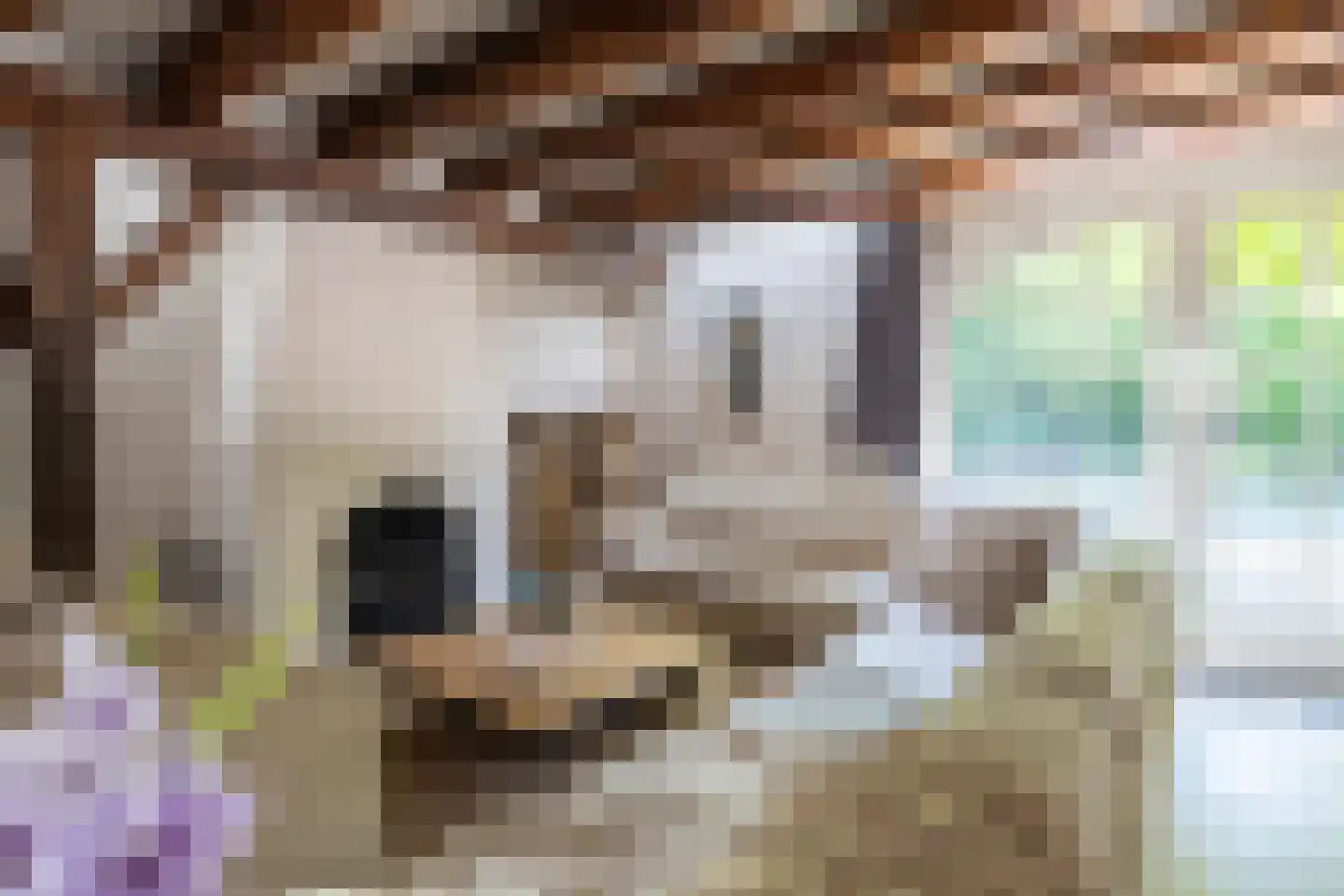 Dorstseweg 4 A Bavel thumbnail 16