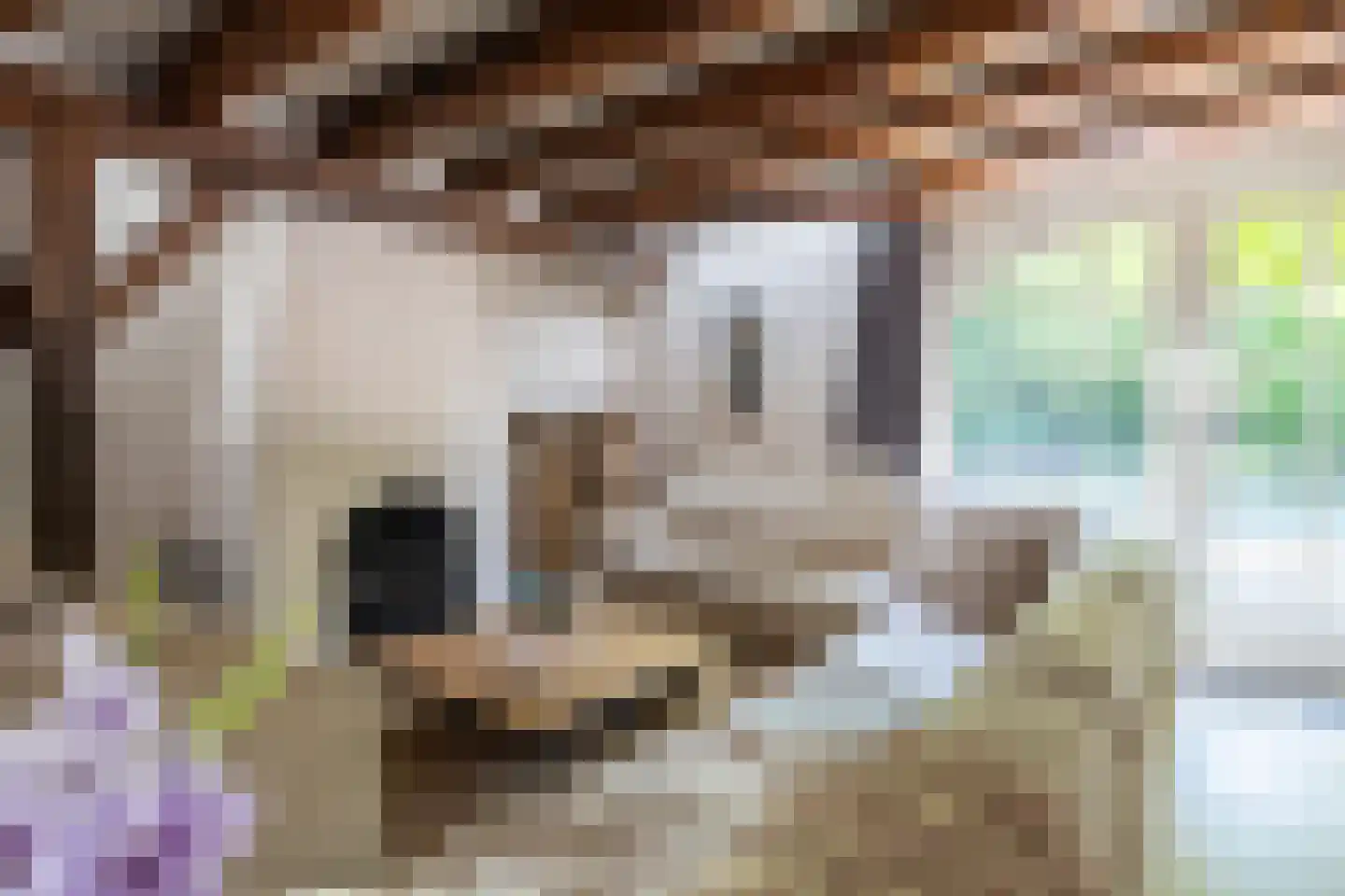 Dorstseweg 4 A Bavel thumbnail 18