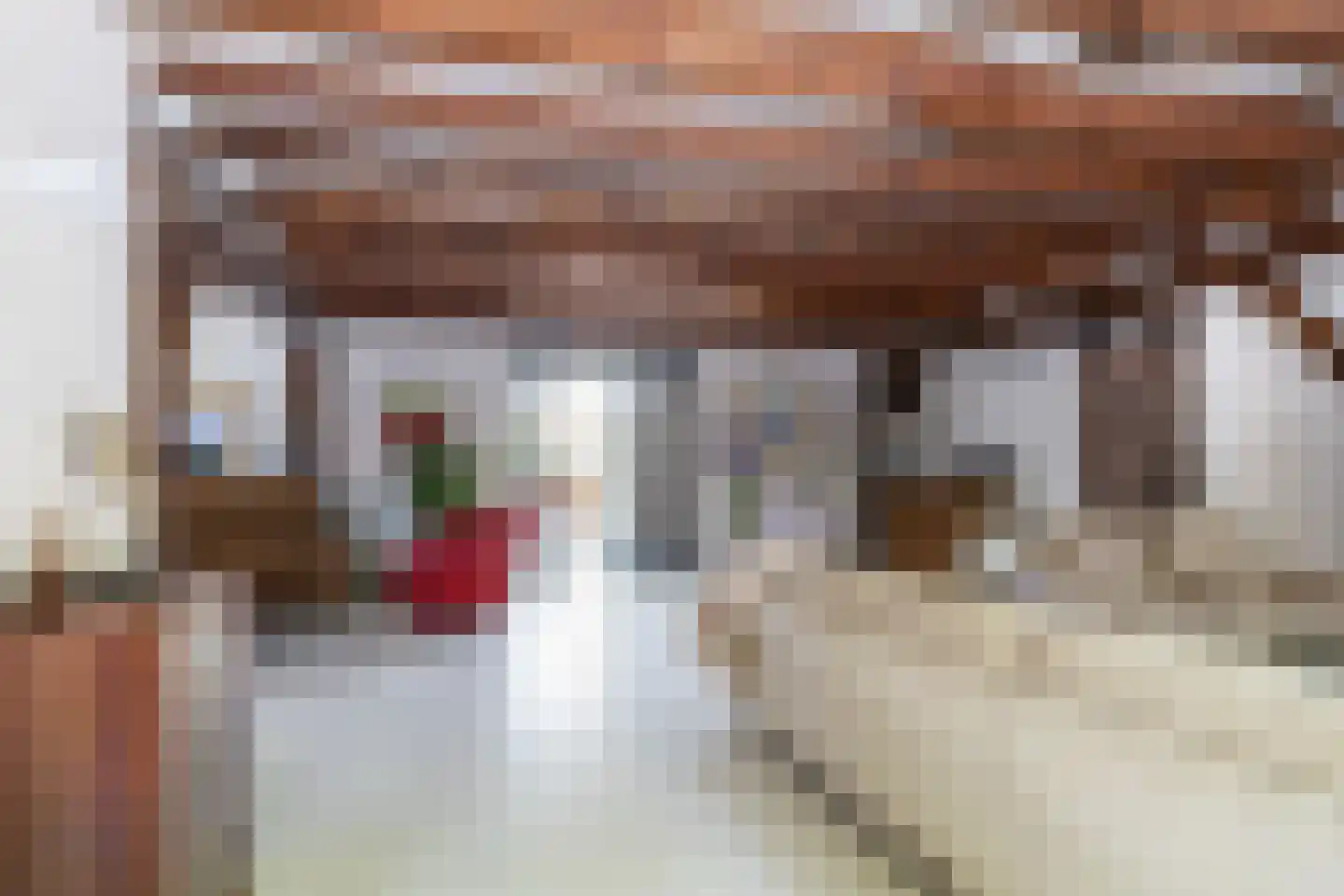 Dorstseweg 4 A Bavel thumbnail 22