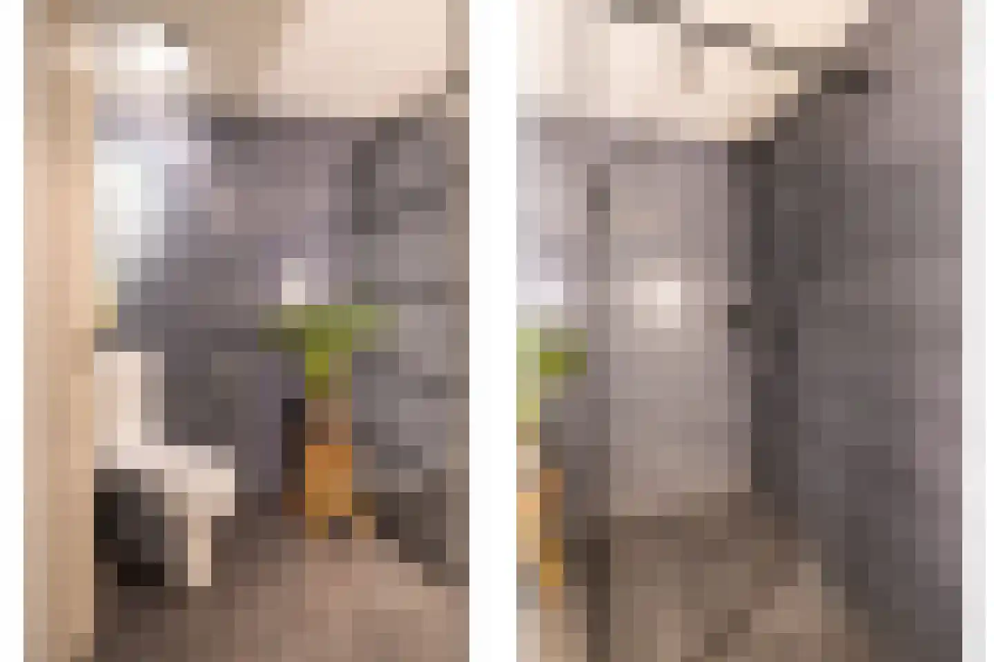 Dorstseweg 4 A Bavel thumbnail 43