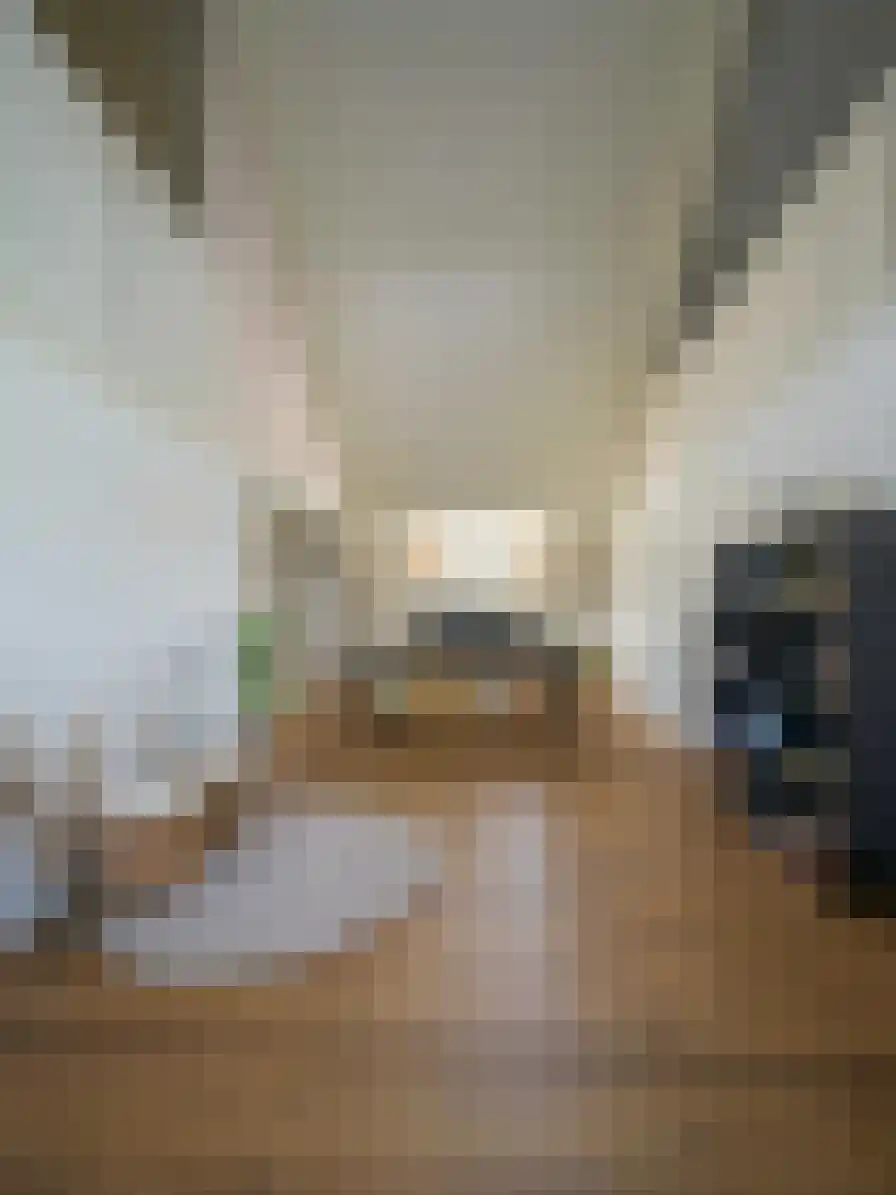 Dorstseweg 4 A Bavel thumbnail 43