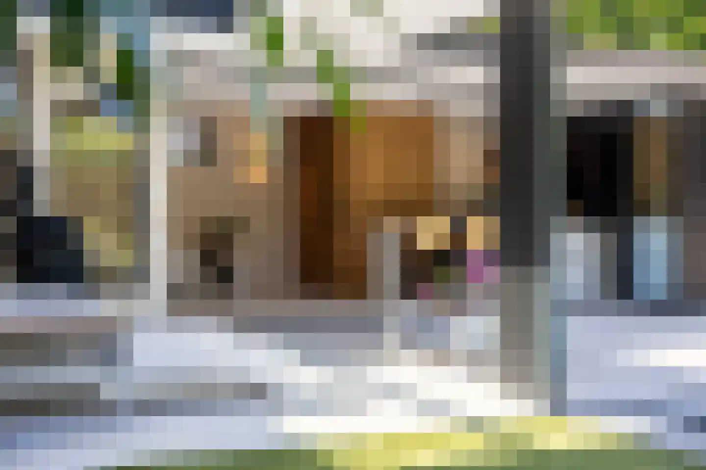 Dorstseweg 4 A Bavel thumbnail 70