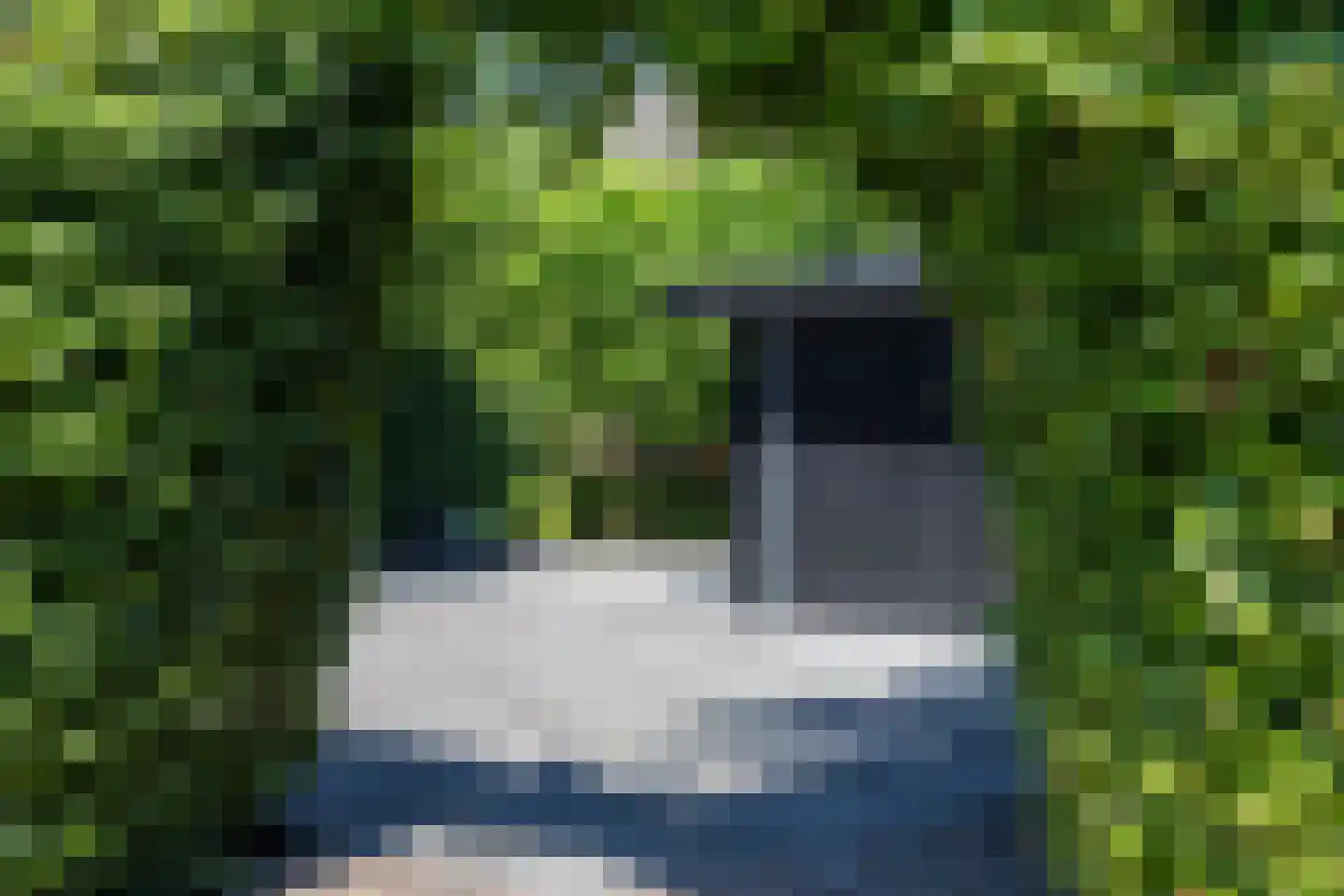 Dorstseweg 4 A Bavel thumbnail 88