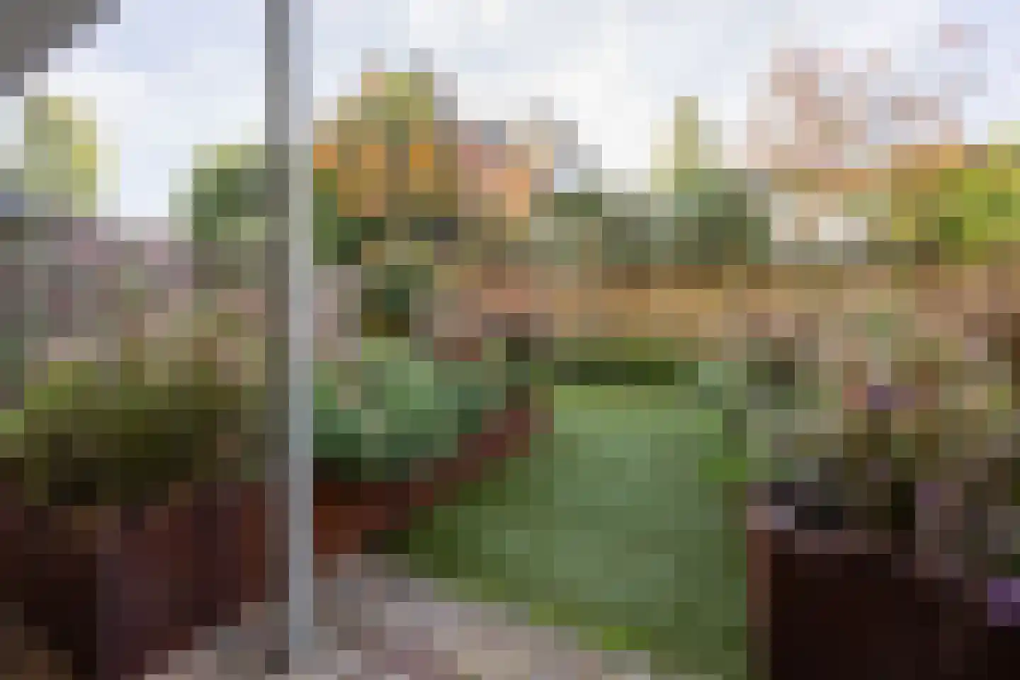Dorsvelden 11 Best thumbnail 38