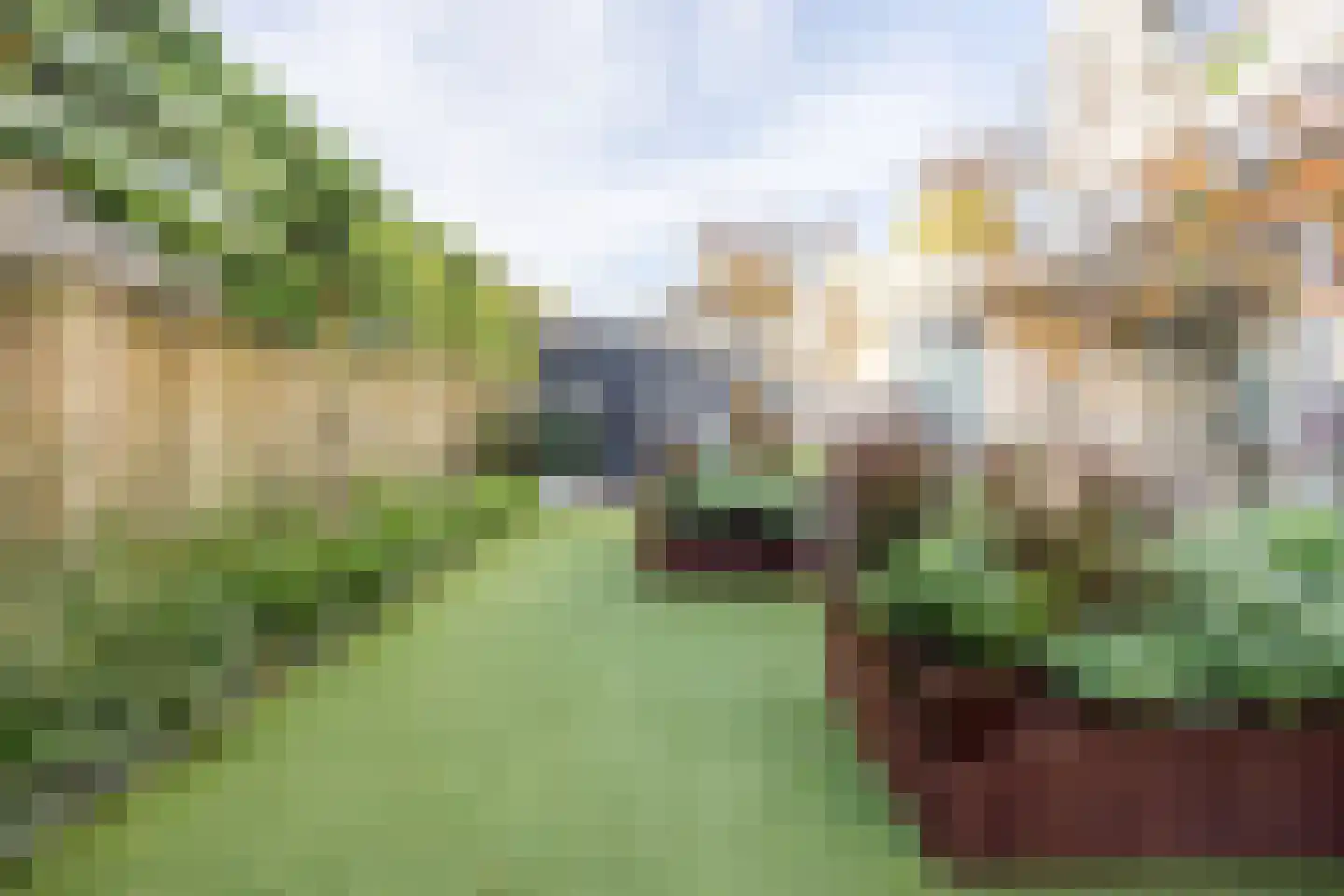 Dorsvelden 11 Best thumbnail 39