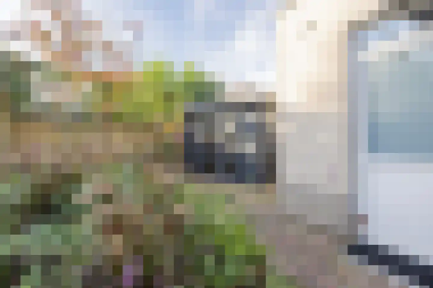 Dorsvelden 11 Best thumbnail 41
