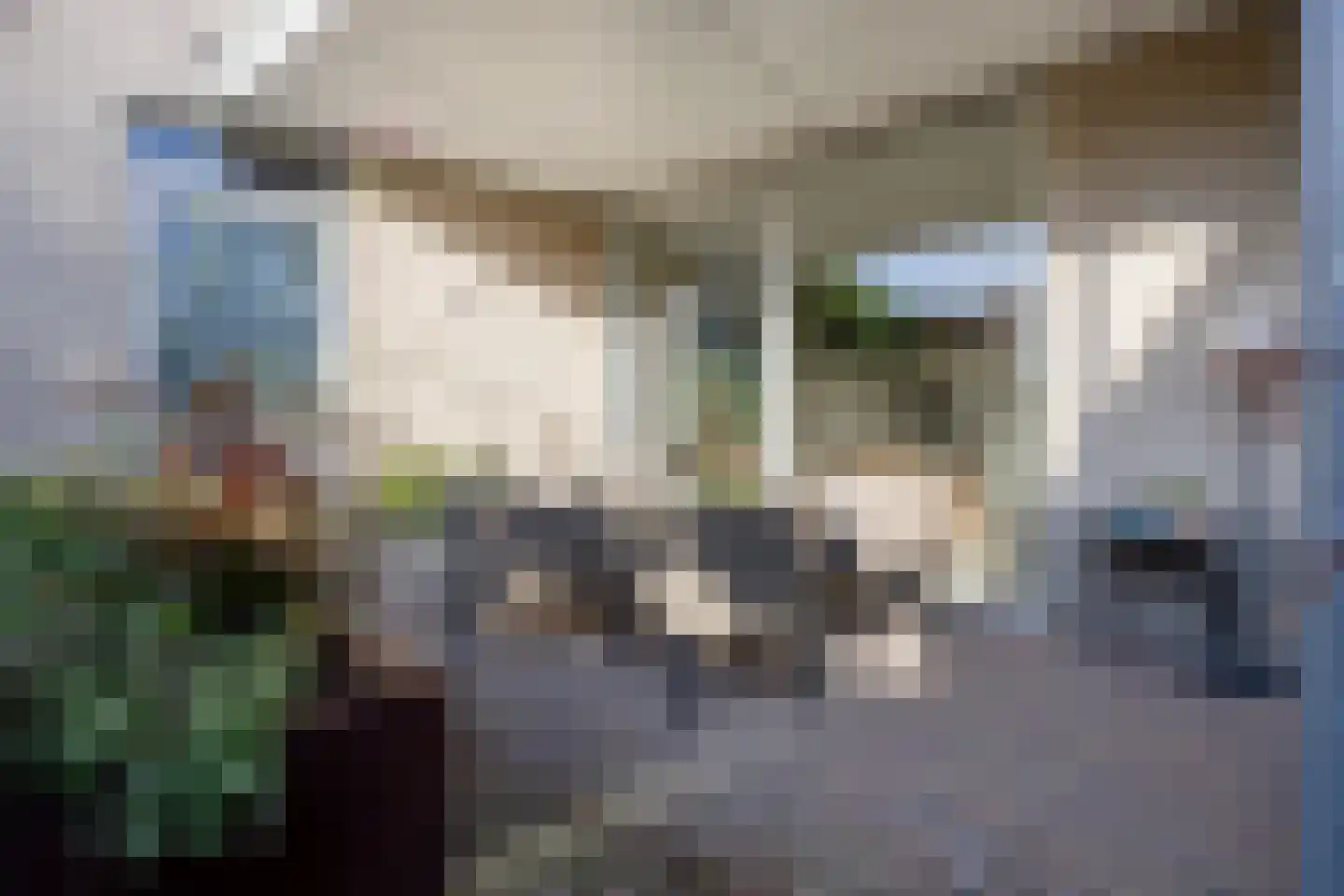 Dorsvelden 11 Best thumbnail 42