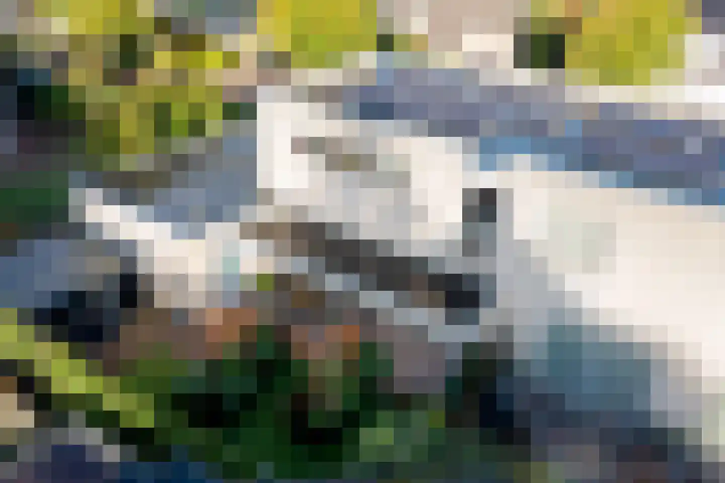 Dorsvelden 11 Best thumbnail 45