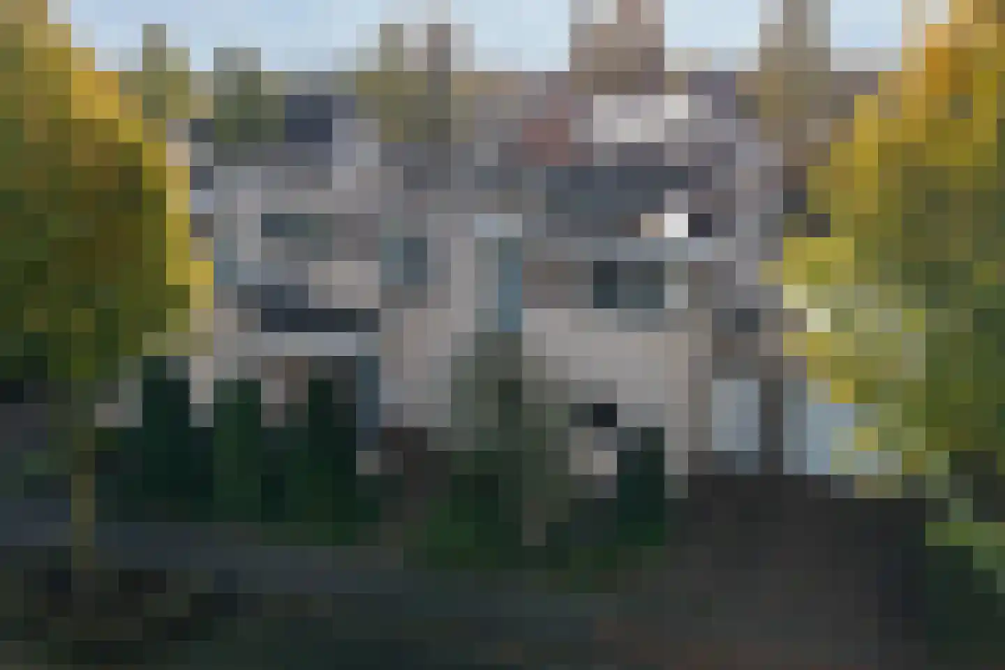 Dorsvelden 11 Best thumbnail 46