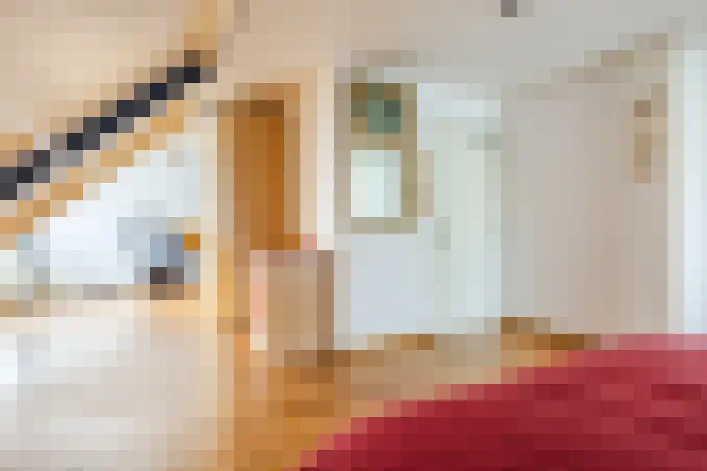 Dorsvelden 12 Best thumbnail 28