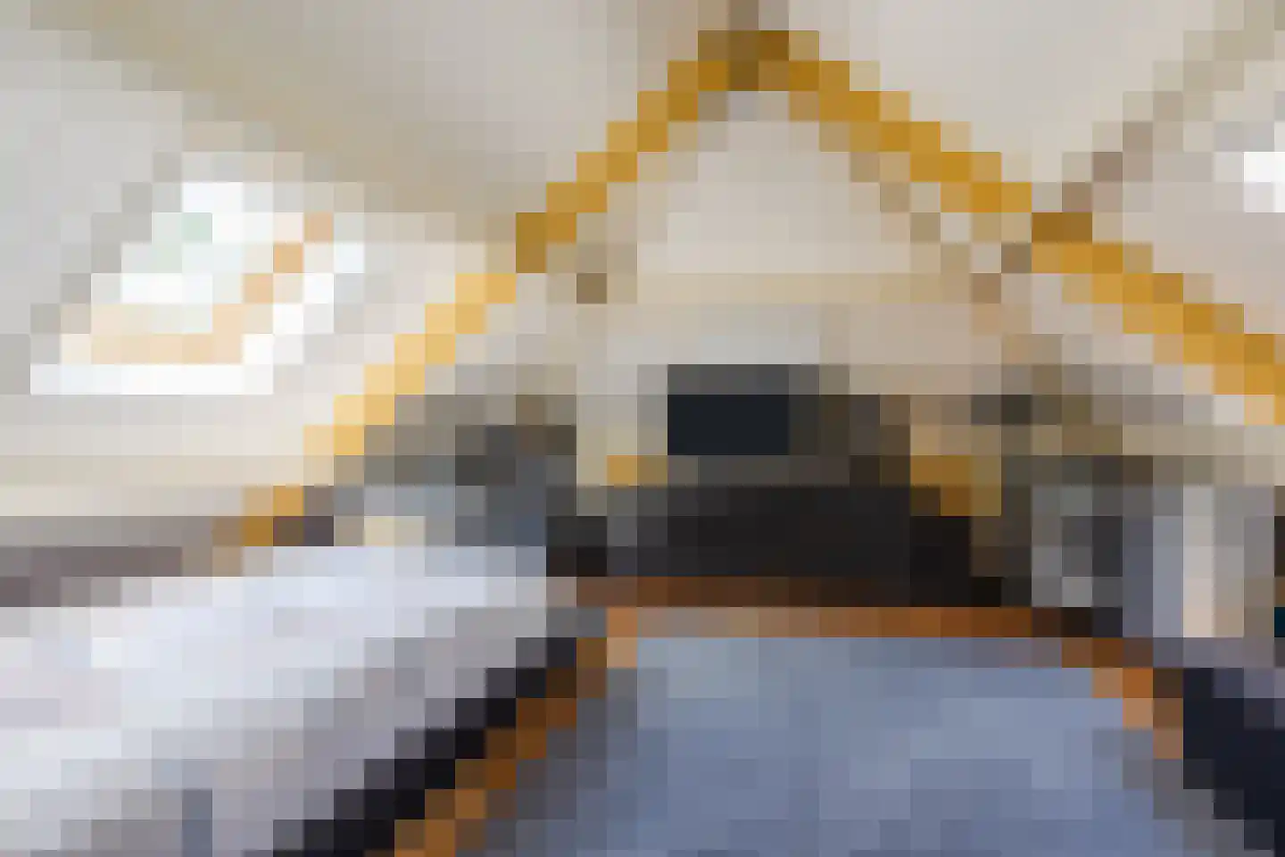 Dorsvelden 12 Best thumbnail 30