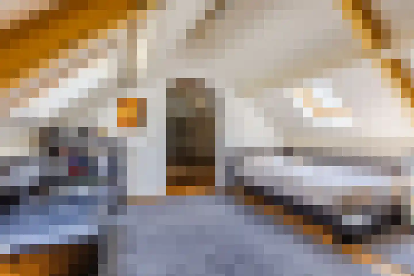 Dorsvelden 12 Best thumbnail 31