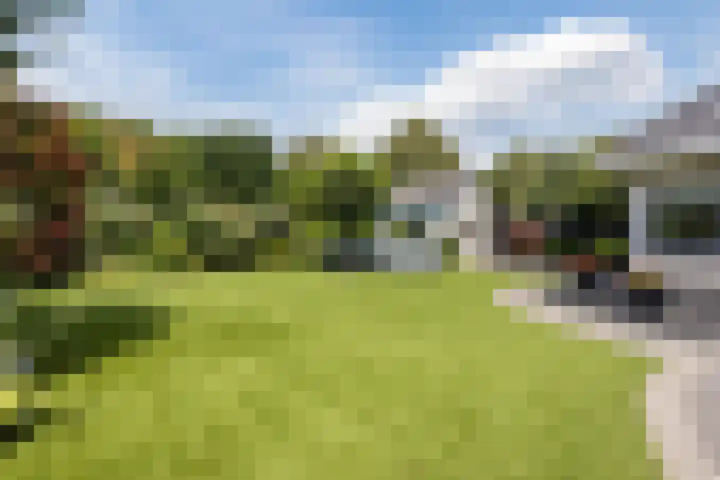 Dorsvelden 12 Best thumbnail 36