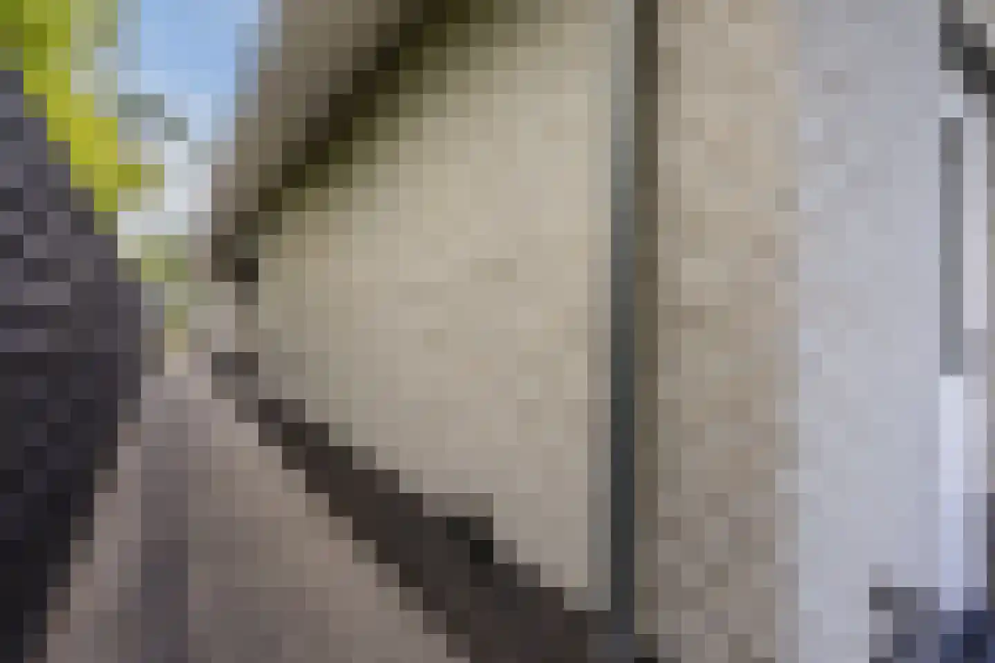 Dorsvelden 12 Best thumbnail 41