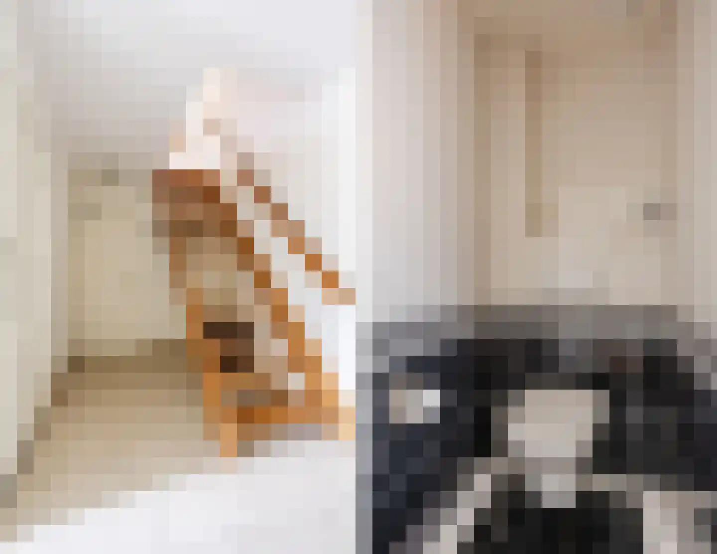 Dorsvelden 12 Best thumbnail 8