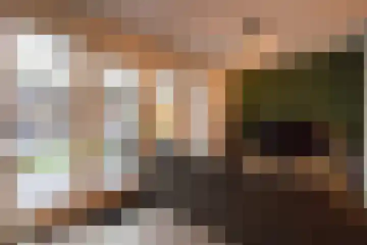 Dorsvlegel 1 De Moer thumbnail 12