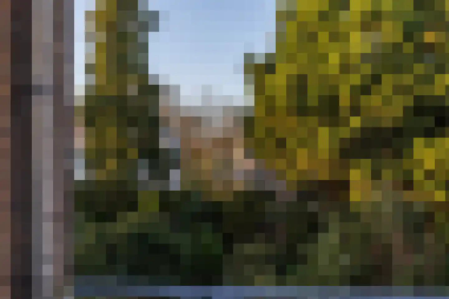 Dorsvlegel 1 De Moer thumbnail 15