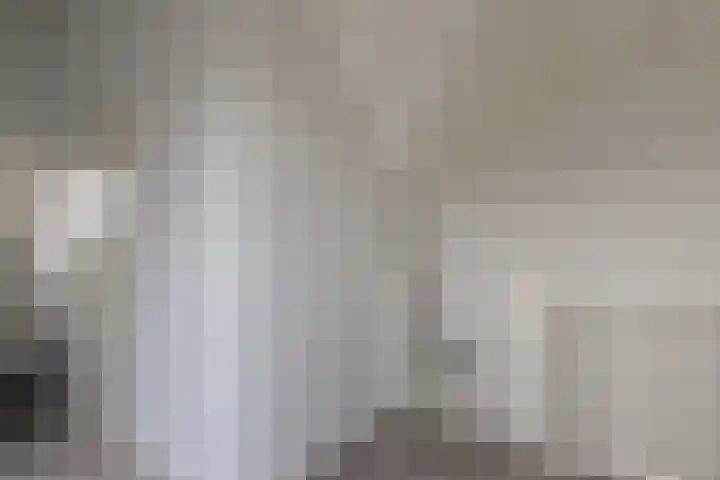 Dorsvlegel 1 De Moer thumbnail 18