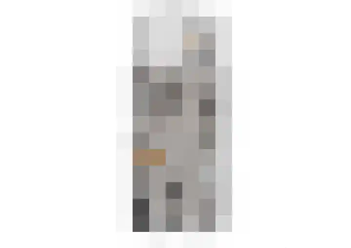 Dorsvlegel 1 De Moer thumbnail 20