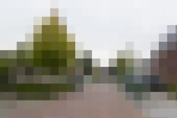 Dorsvlegel 1 De Moer foto 3
