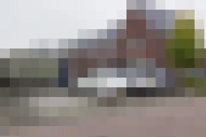 Dorsvlegel 1 De Moer thumbnail 4