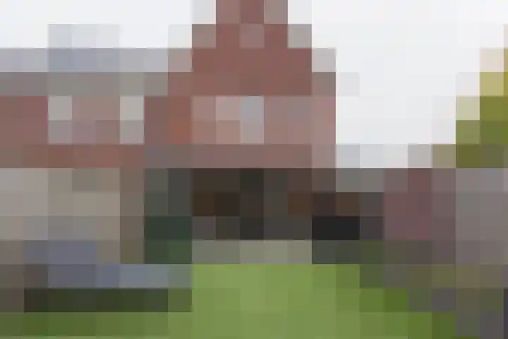 Dorsvlegel 1 De Moer thumbnail 5