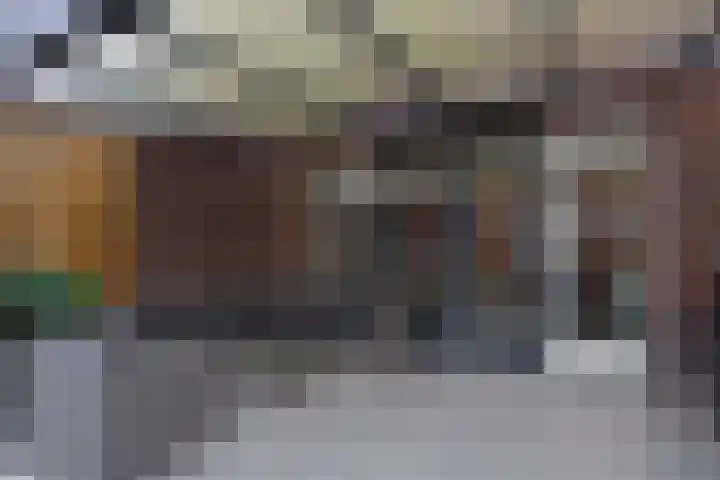 Dorsvlegel 1 De Moer thumbnail 6