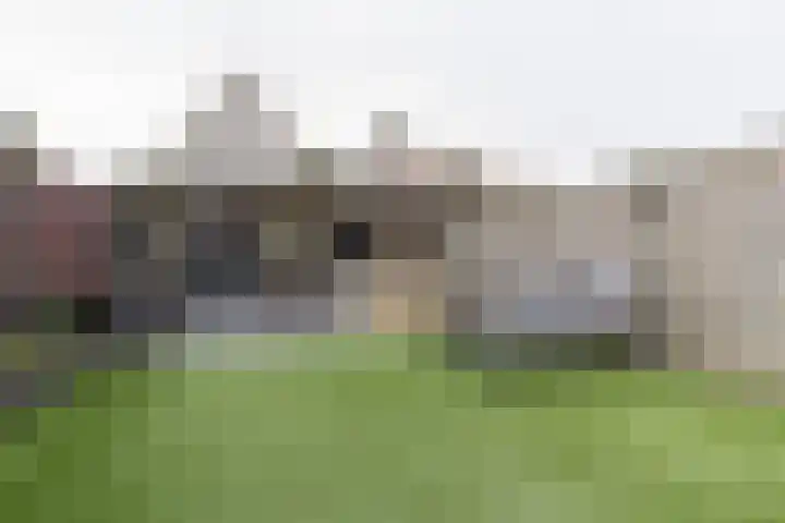 Dorsvlegel 1 De Moer thumbnail 7