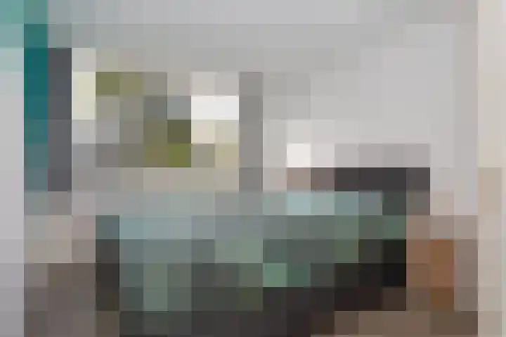 Dorsvlegel 10 Hazerswoude-Dorp thumbnail 12